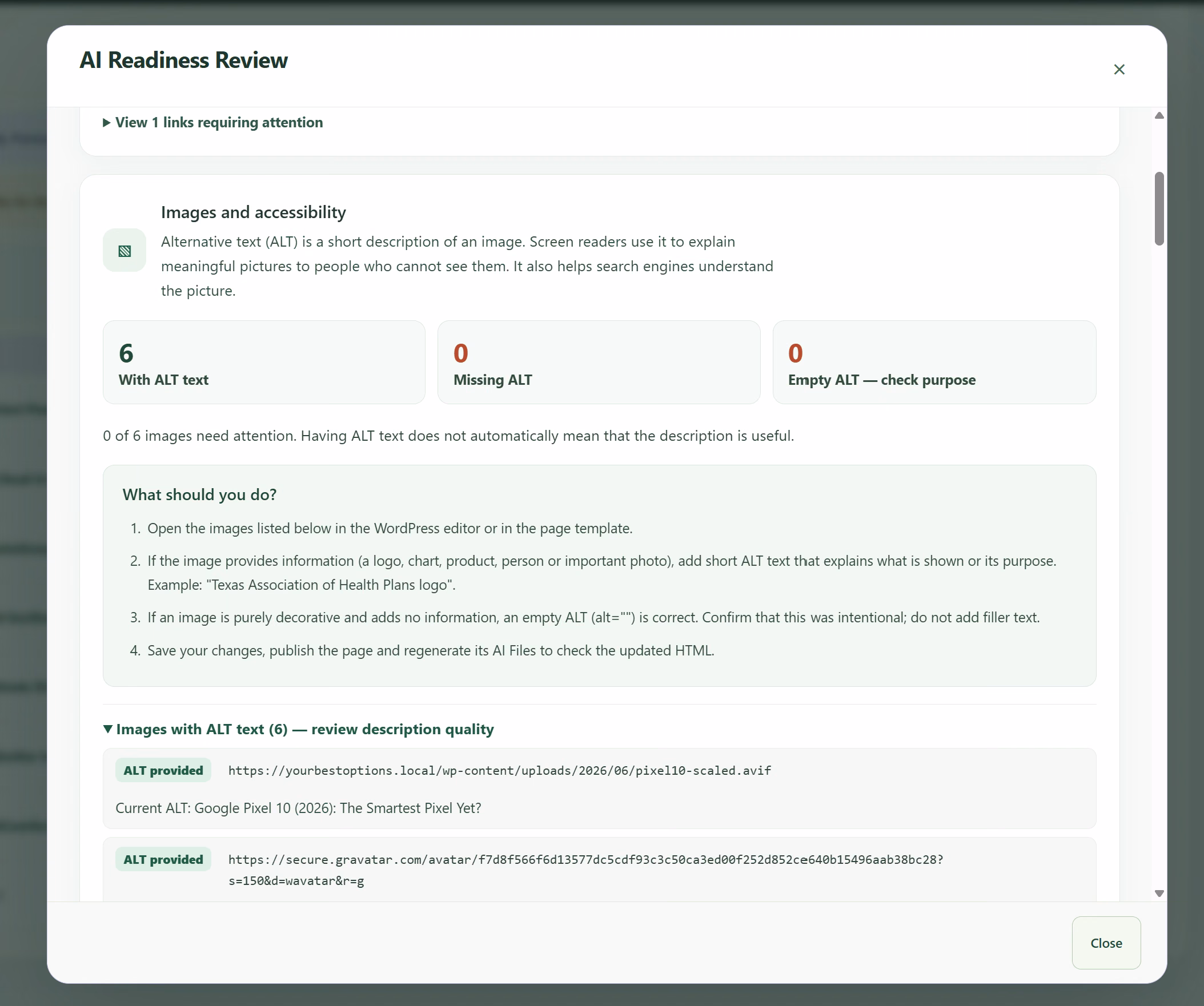 Image image descriptions and accessibility findings